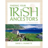 Finding Your Irish Ancestors: A Beginner's Guide
