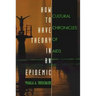 How to Have Theory in an Epidemic: Cultural Chronicles of AIDS