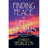 Finding Peace in Life's Storms