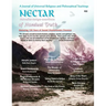 Nectar of Nondual Truth #28; A Journal of Universal Religious and Philosphical Teachings
