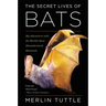 The Secret Lives of Bats: My Adventures with the World's Most Misunderstood Mammals