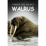 Walrus - Sandie Lee Books