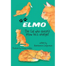 ELMO The Cat who doesn't know he's orange!