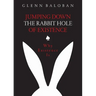 Jumping Down The Rabbit Hole Of Existence: Why Existence is