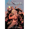 The Witcher Omnibus Volume 3