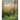 Planting the Natural Garden