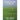 HOLDING ON AND LETTING GO (in) Golf & Life