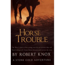Horse Trouble: Stone Cold Adventures