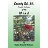 County Rd. 35: Poetic Echoes of the W I N D