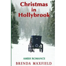 Christmas in Hollybrook: Amish Romance