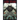 Full Moon Horror