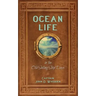 Ocean Life in the Old Sailing Ship Days