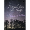 Postcards From The Hedge: A Bestiary of the Night