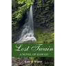 Lost Twain: A Novel of Hawai'i