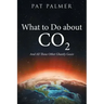 What to Do About Co2: And All Those Other Ghastly Gases