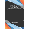In the grip of the Mullah; A tale of adventure in Somaliland