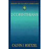 Abingdon New Testament Commentaries: 2 Corinthians