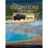 My Yellowstone Experience