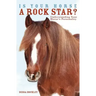 Is Your Horse a Rock Star?: Understanding Your Horse's Personality
