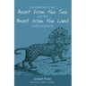 The Identities of the Beast from the Sea and the Beast from the Land in Revelation 13