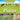 Animals of the Plains Wildlife of the Grasslands Encyclopedias for Children