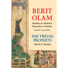 Berit Olam: The Twelve Prophets: Volume 2: Micah, Nahum, Habakkuk, Zephaniah, Haggai, Zechariah, Malachi Volume 2