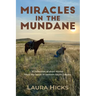 Miracles in the Mundane