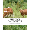 Breeds of Dairy Cattle