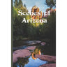 Picture Book Of Scenes Of Arizona: Large Print Book For Seniors with Dementia or Alzheimer's