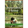 Internal Conflicts in Myanmar: Transnational Consequences