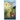 The Queen Bee Prophecy: A Time Travel Earth Guardian Mission: Bee LOVE