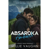 Absaroka Ambush: A Small-Town Romantic Suspense