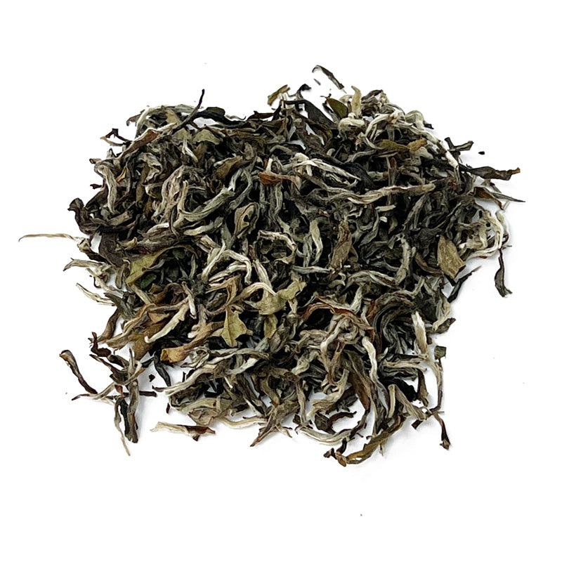 White Forest - Nepal White Tea by Tea and Whisk