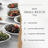 North Jetty Beach by Beach House Teas