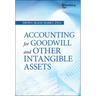 Accounting for Goodwill and Other Intangible Assets