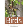 Common Birds of Greater Atlanta