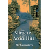The Miracle at Assisi Hill