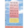 Where People Fly and Water Runs Uphill: Using Dreams to Tap the Wisdom of the Unconscious