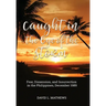 Caught in the Eye of the Storm: Fear, Dissension, and Insurrection in the Philippines, December 1989