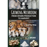 Growing Mushroom From Spawn Production to Harvest: Learn Mushrooms Cultivation Step by Step
