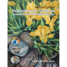 Watercolour Toolbox (Revised Edition): Essentials for Painting Success