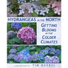 Hydrangeas in the North: Getting Blooms in the Colder Climates
