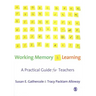 Working Memory and Learning: A Practical Guide for Teachers