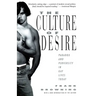 The Culture of Desire: Paradox and Perversity in Gay Lives Today