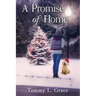 A Promise of Home: A Hometown Harbor Novel