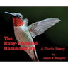 The Ruby-throated Hummingbird: A photo essay