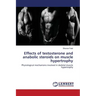 Effects of testosterone and anabolic steroids on muscle hypertrophy