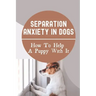 Separation Anxiety In Dogs: How To Help A Puppy With It: How To Break A Dog'S Separation Anxiety