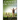 Counsels on Health: (Biblical Principles on health, Medical Ministry, Counsels and Diet and Foods, Bible Hygiene, medical evangelism, Sanc