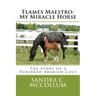Flames Maestro: My Miracle Horse: The Story of a Purebred Arabian Colt